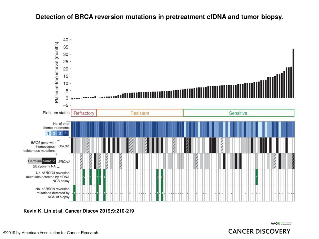 Detection Of BRCA Reversion Mutations In Pretreatment CfDNA And Tumor